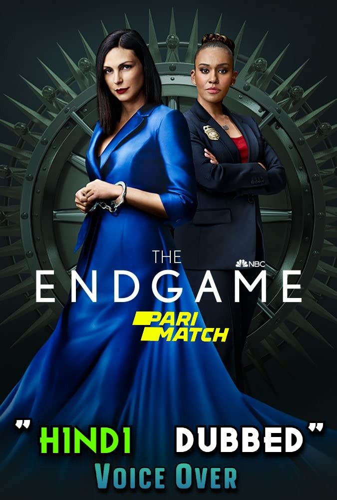 poster of The Endgame (2022) Hindi [Voice Over] Dubbed WEBRip